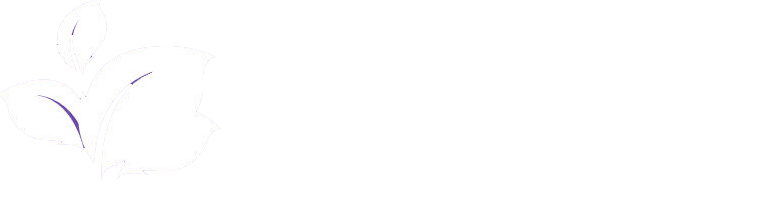 时间查询